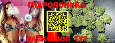 мдпв Шебекино