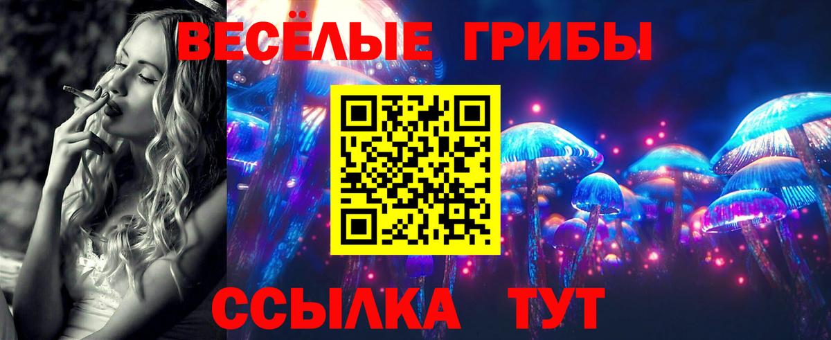 Галлюциногенные грибы Psilocybe  Вход с VPN  Бийск 